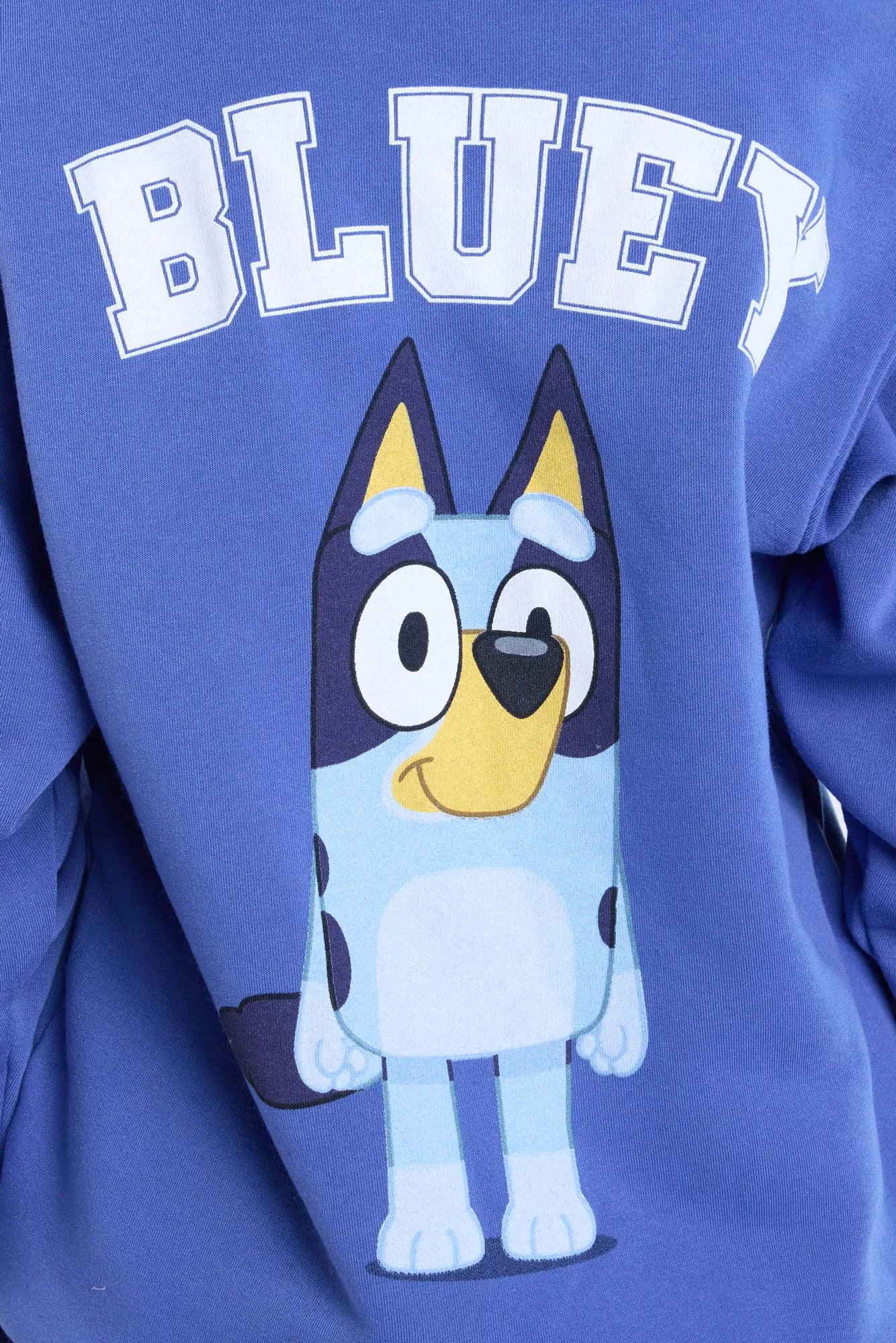 Bluey Graphic Crew Neck Sweatshirt