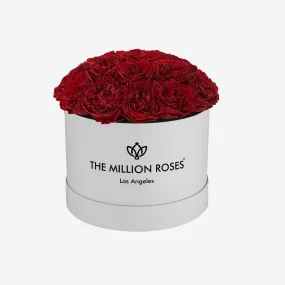 Classic White Dome Box | Red Carmen Roses