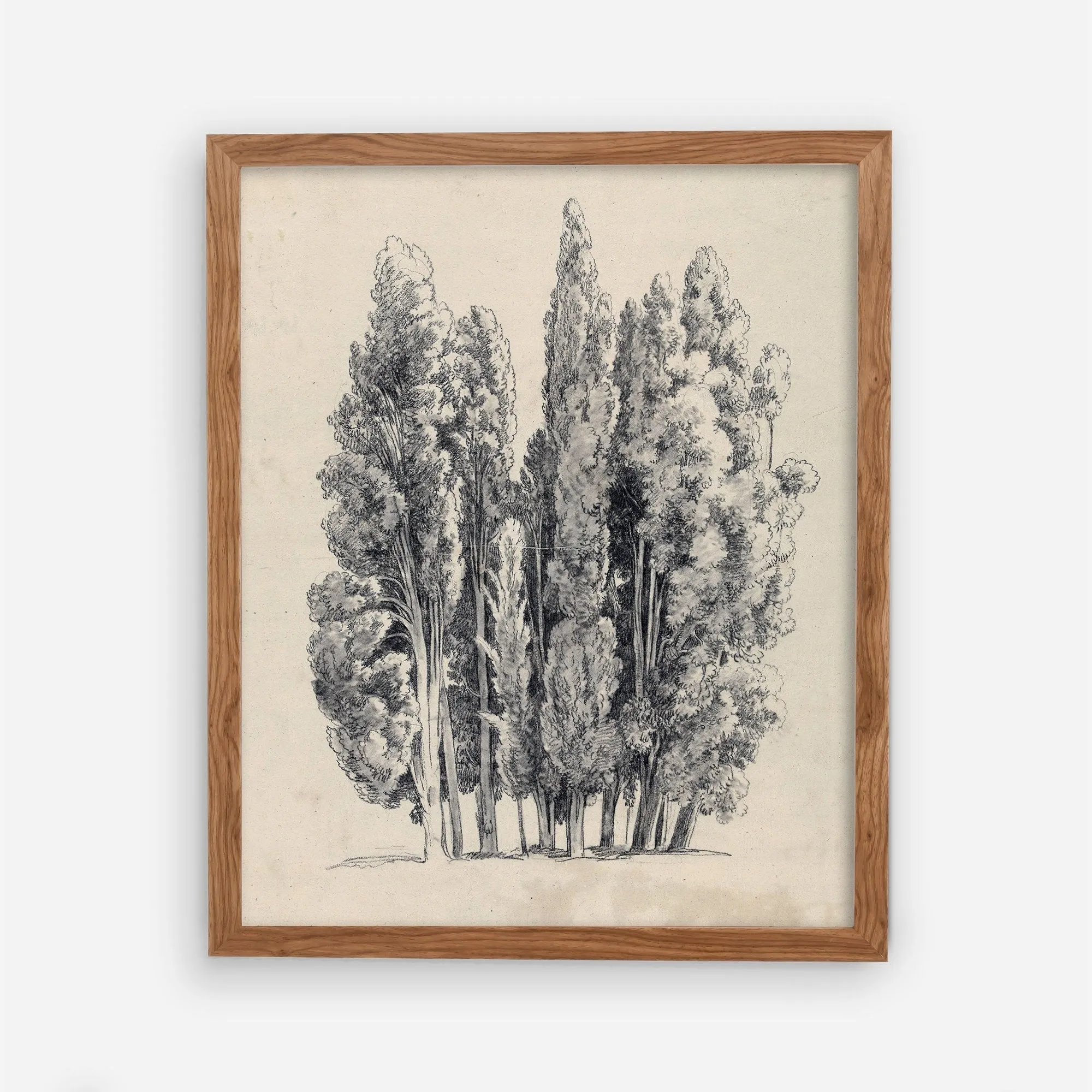 Vintage Gallery Wall Art